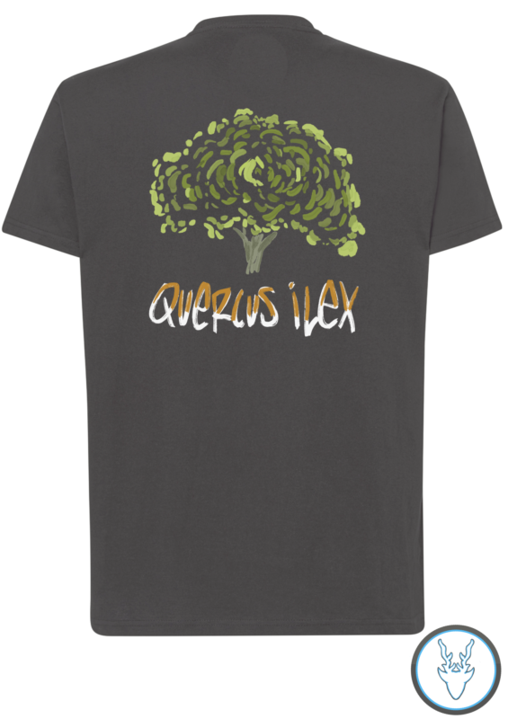 Quercus